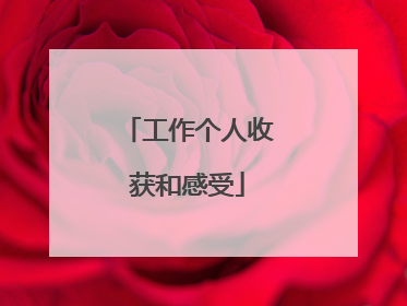 工作个人收获和感受