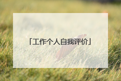 工作个人自我评价