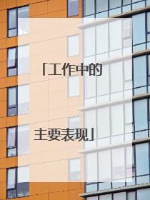 工作中的主要表现