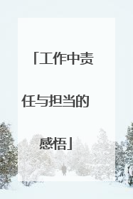 工作中责任与担当的感悟