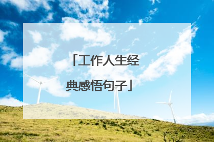工作人生经典感悟句子