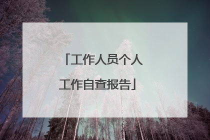 工作人员个人工作自查报告