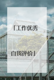 工作优秀自我评价