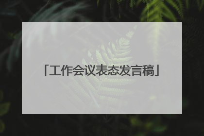 工作会议表态发言稿