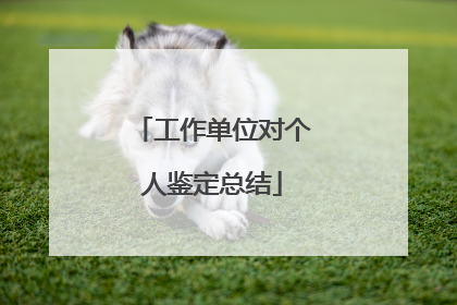 工作单位对个人鉴定总结