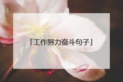工作努力奋斗句子