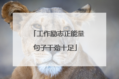 工作励志正能量句子干劲十足