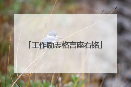 工作励志格言座右铭