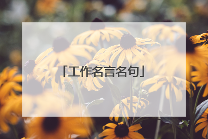 工作名言名句
