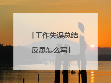 工作失误总结反思怎么写