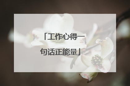 工作心得一句话正能量