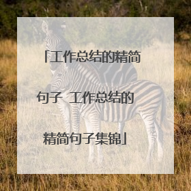 工作总结的精简句子 工作总结的精简句子集锦
