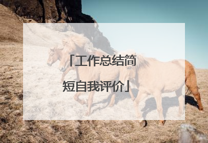 工作总结简短自我评价