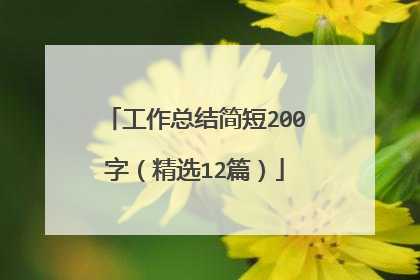 工作总结简短200字（精选12篇）