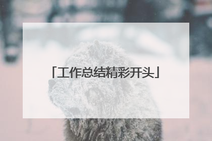 工作总结精彩开头