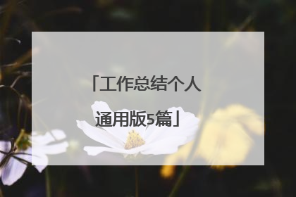 工作总结个人通用版5篇