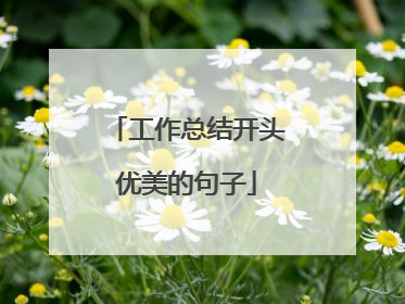 工作总结开头优美的句子