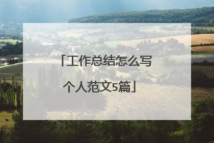 工作总结怎么写个人范文5篇