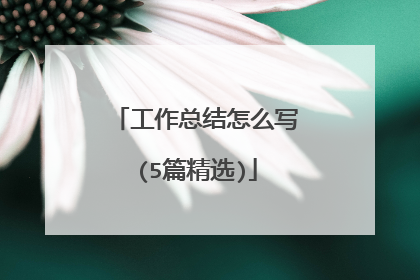 工作总结怎么写(5篇精选)