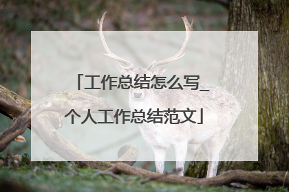工作总结怎么写_个人工作总结范文