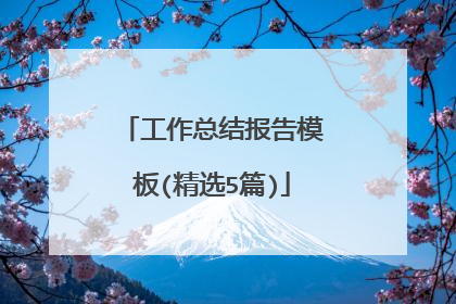 工作总结报告模板(精选5篇)