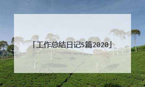 工作总结日记5篇2020