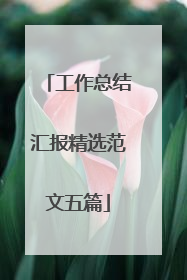 工作总结汇报精选范文五篇
