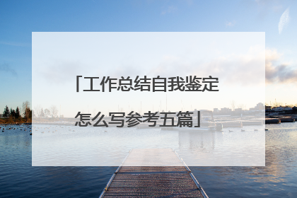 工作总结自我鉴定怎么写参考五篇