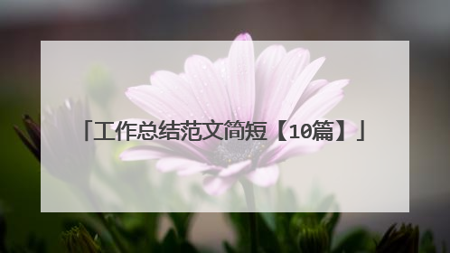 工作总结范文简短【10篇】