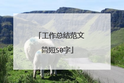 工作总结范文简短50字