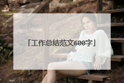 工作总结范文600字