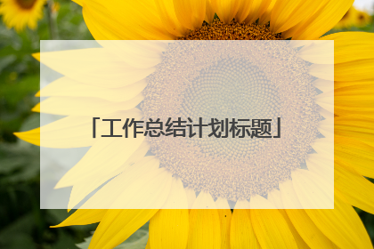 工作总结计划标题
