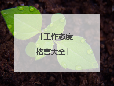 工作态度格言大全