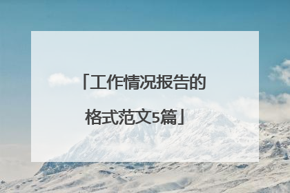 工作情况报告的格式范文5篇