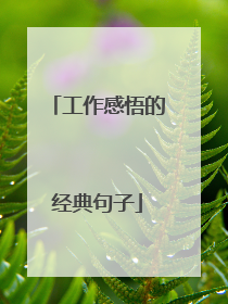 工作感悟的经典句子