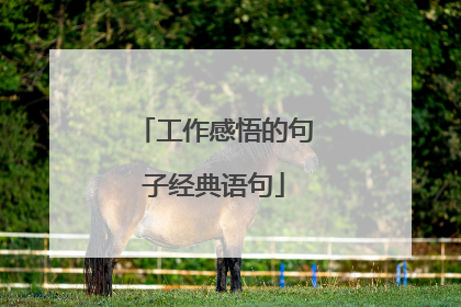 工作感悟的句子经典语句