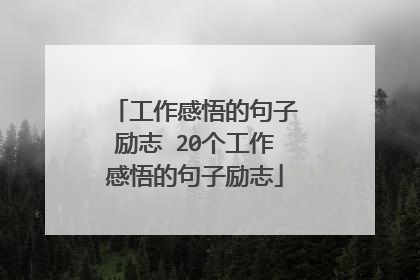 工作感悟的句子励志 20个工作感悟的句子励志