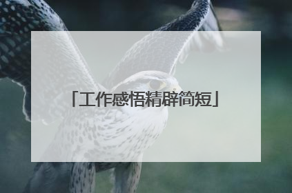 工作感悟精辟简短