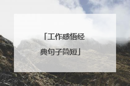 工作感悟经典句子简短