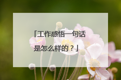 工作感悟一句话是怎么样的?