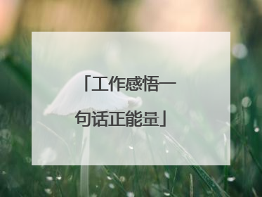 工作感悟一句话正能量