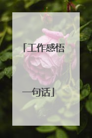 工作感悟一句话
