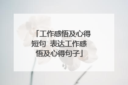 工作感悟及心得短句 表达工作感悟及心得句子