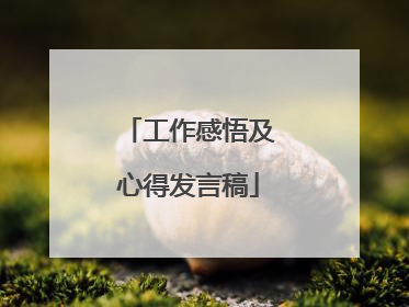 工作感悟及心得发言稿