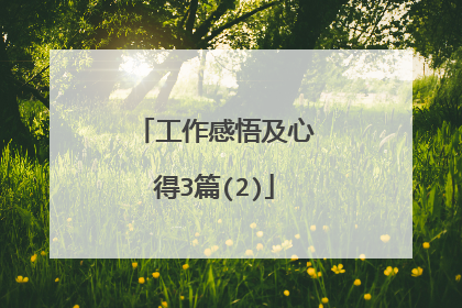 工作感悟及心得3篇(2)