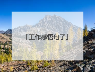 工作感悟句子
