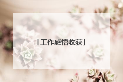 工作感悟收获
