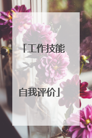 工作技能自我评价