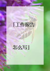 工作报告怎么写