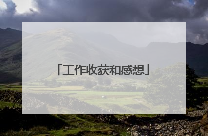 工作收获和感想